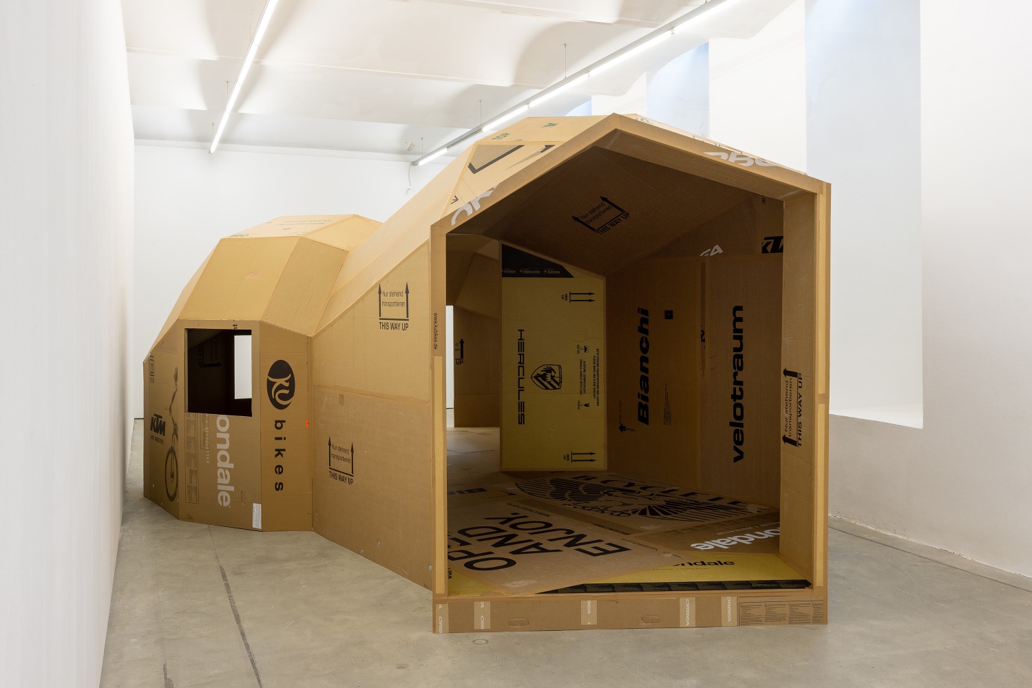 Installation view, Oscar Tuazon, Words for Water, FJK3, Vienna, 2024