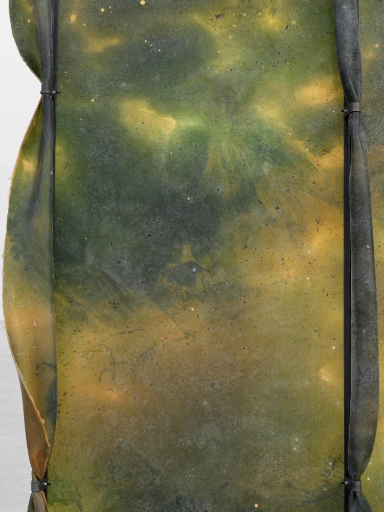 Crush 2

2024

Metal, latex, pigment, talcum

300 x 200 x 30 cm / 118 1/8 x 78 3/4 x 11 3/4 in

&amp;copy; Liesl Raff