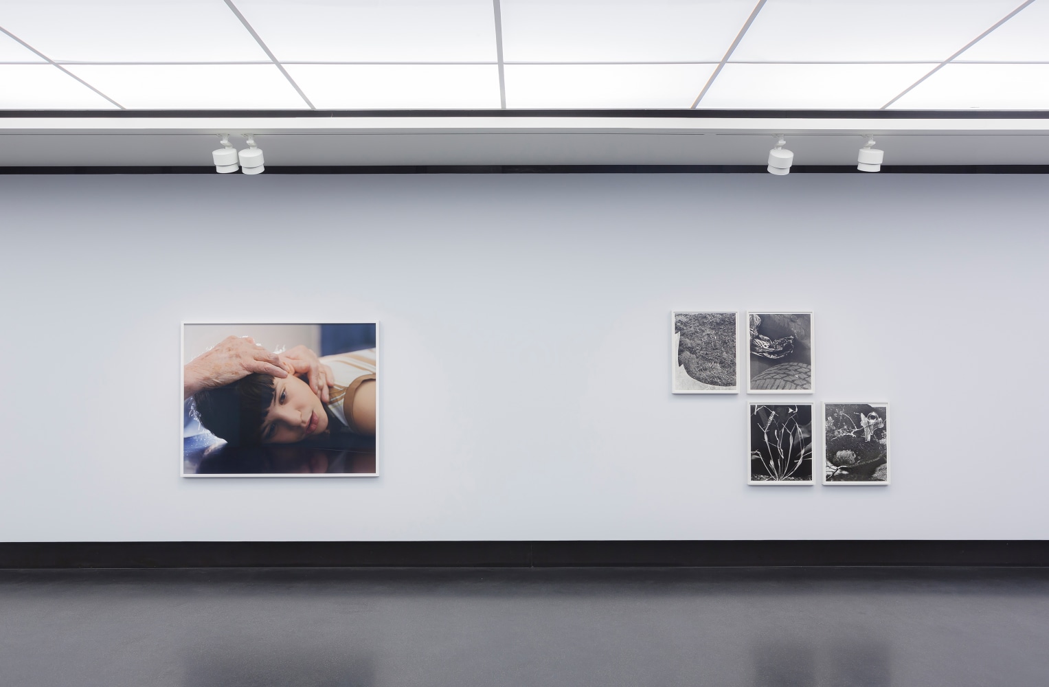 Installation view of photographs by Torbjørn Rødland