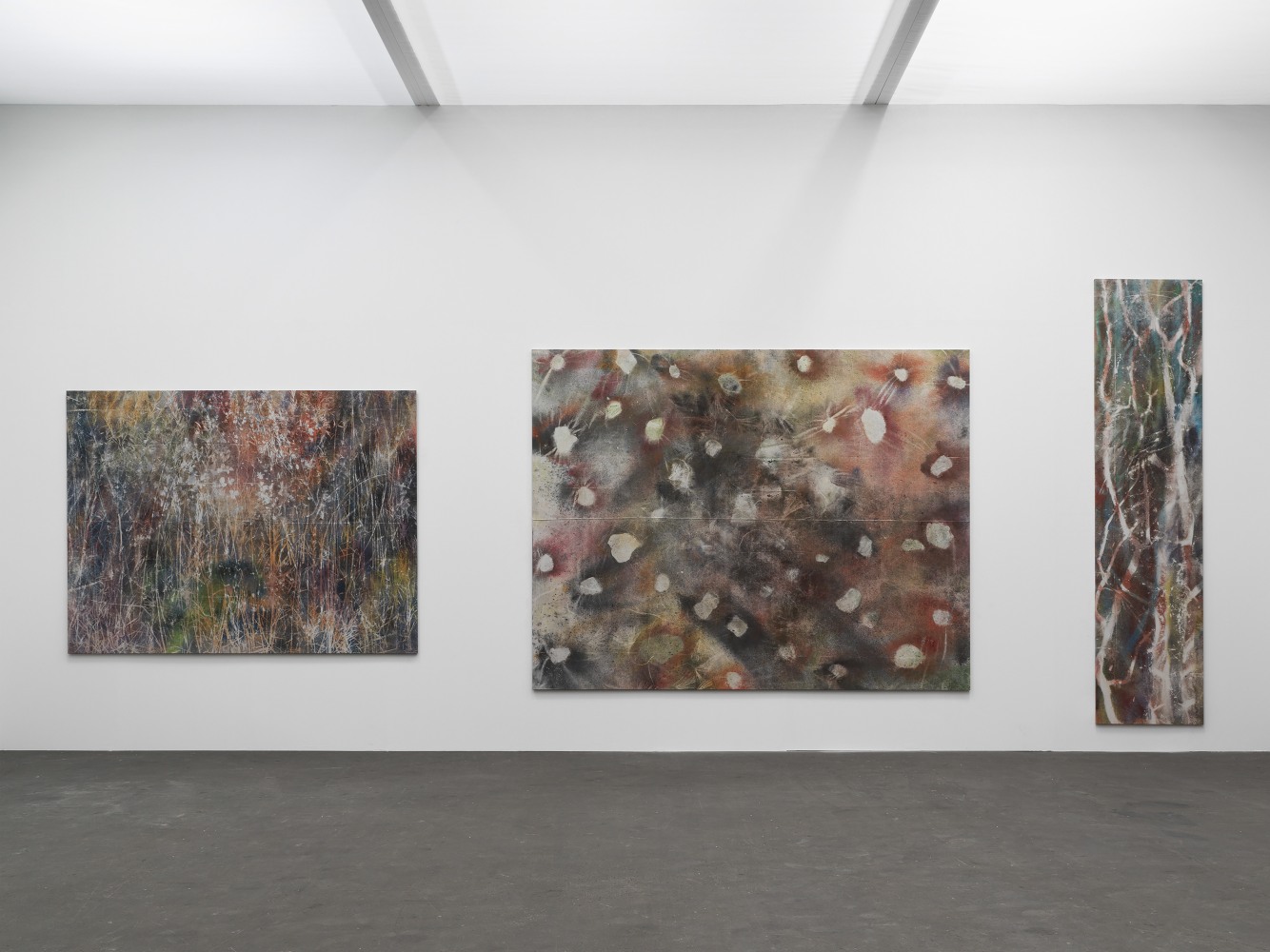 Installation view of paintings by Sam Falls