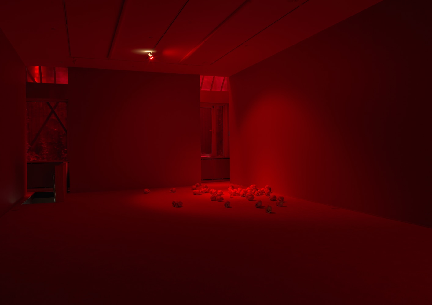 Installation by Douglas Gordon