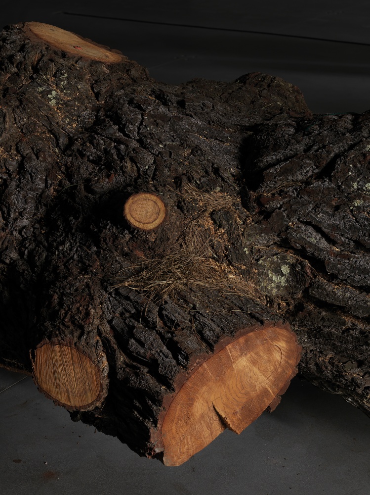 Installation view of sculptures by Trisha Donnelly