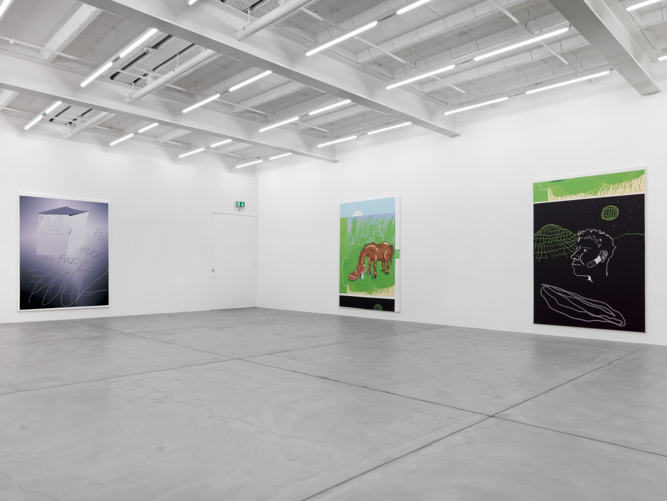 Installation view of Michael Williams paintings exhibition