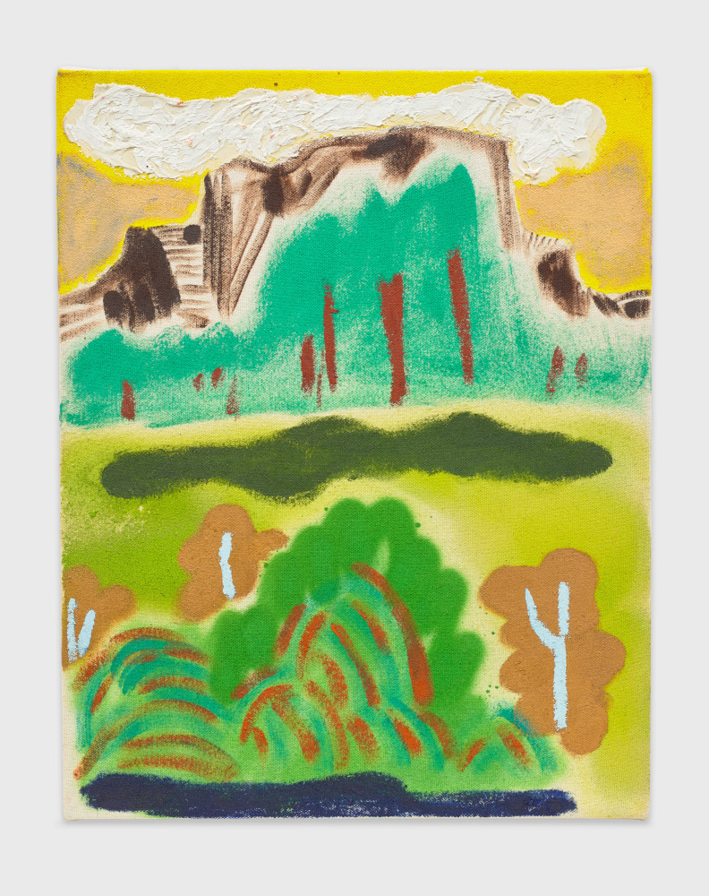 Work by Shara Hughes