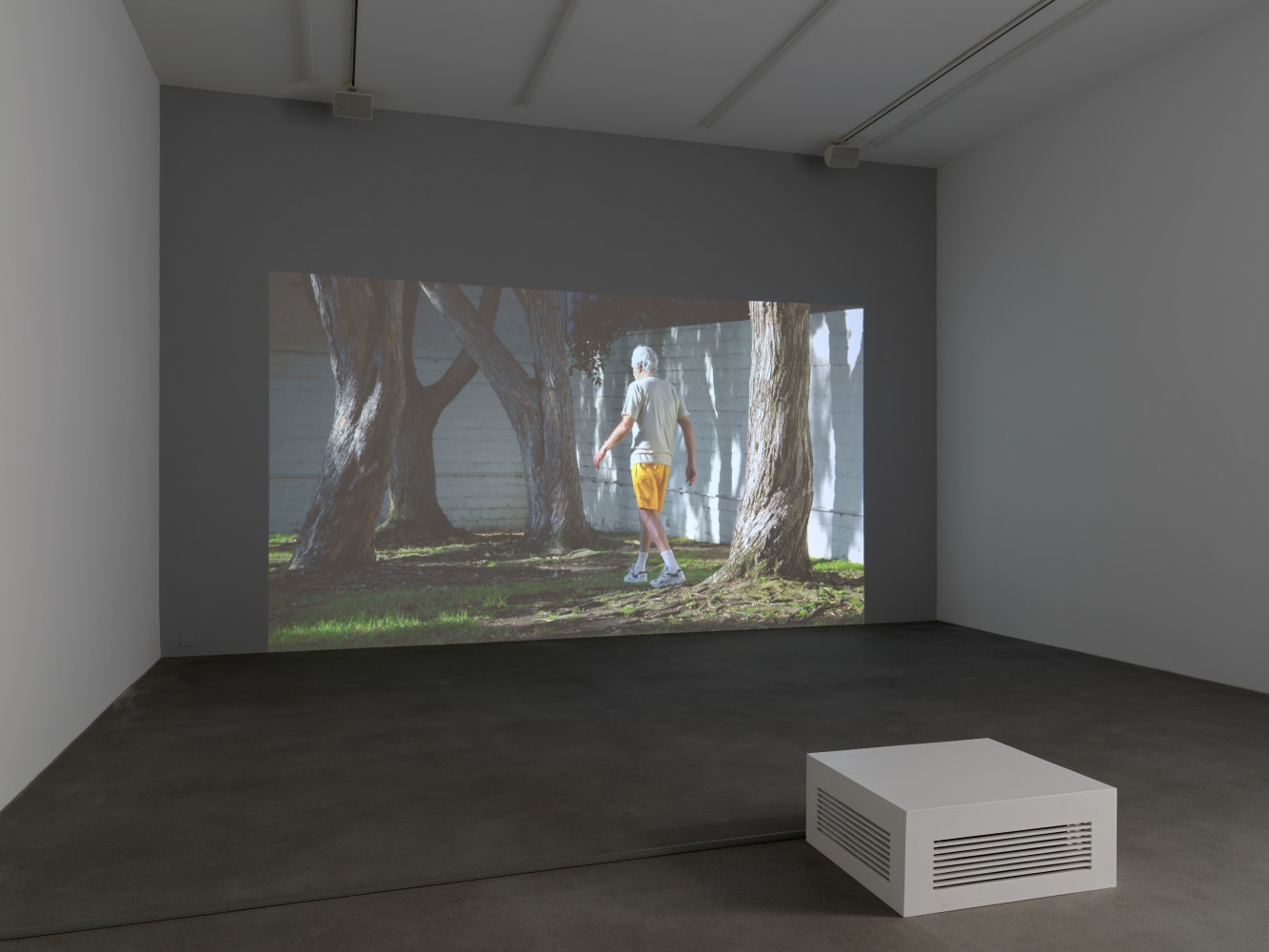 Installation view of Torbjørn Rødland photography and film exhibition