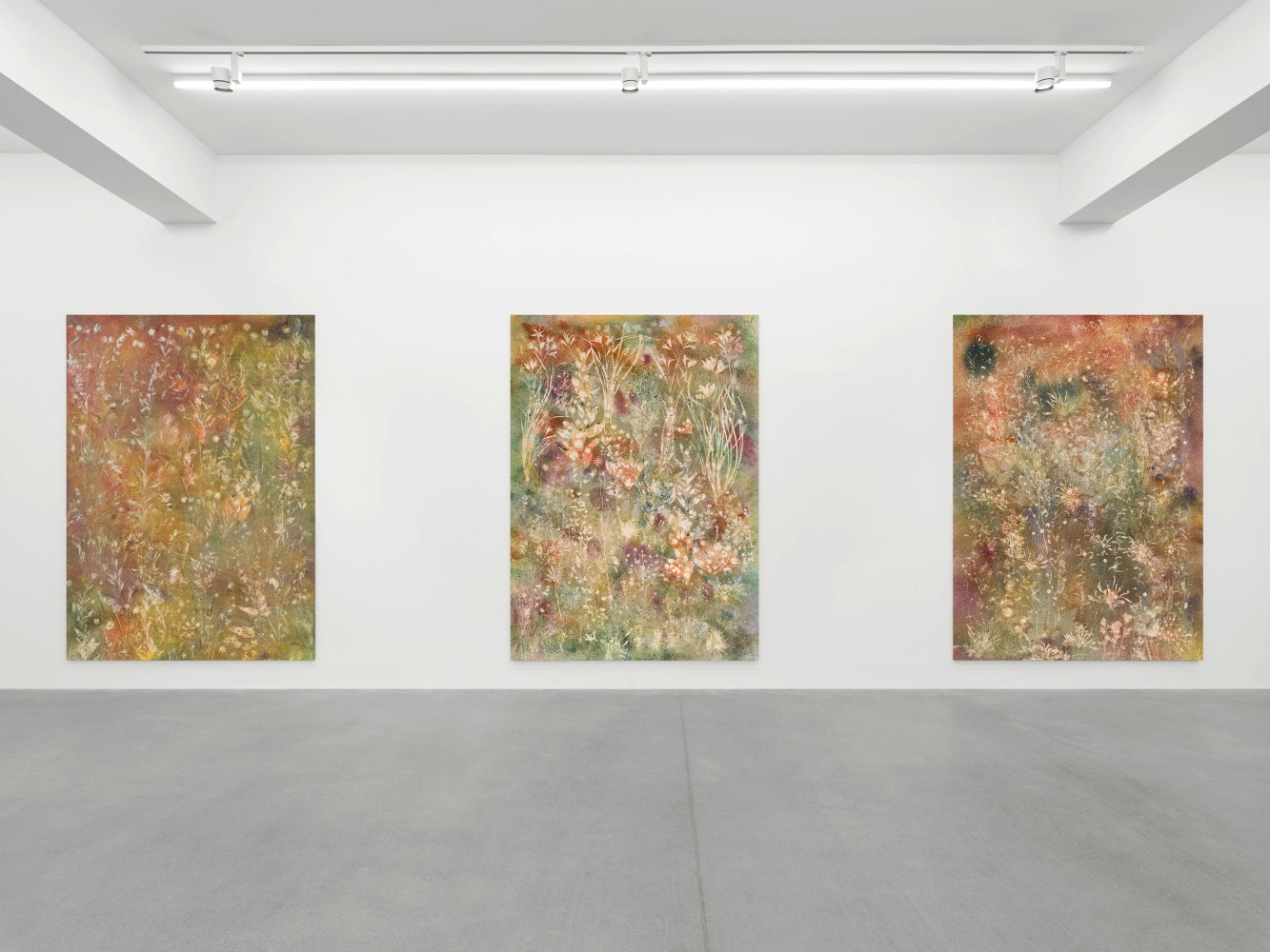 Installation view, Sam Falls, Galerie Eva Presenhuber, Waldmannstrasse, Zurich, 2025