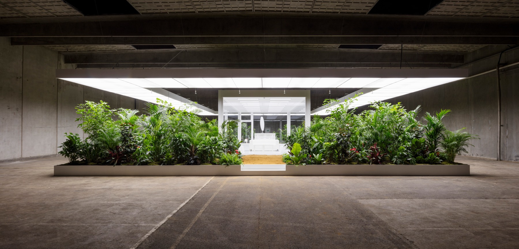 Installation view of living art installation by Doug Aitken