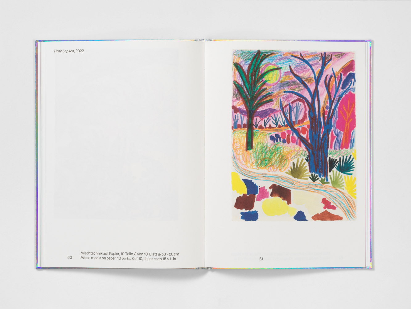 Image of Shara Hughes Time Lapsed publication