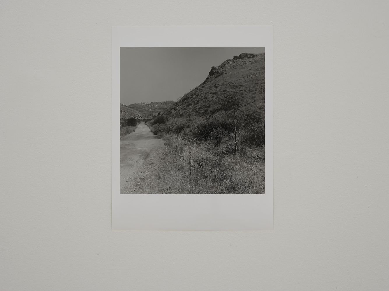 Installation view of works by Trisha Donnelly