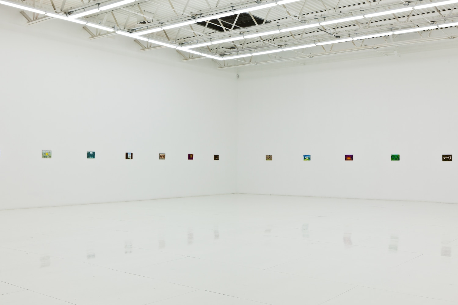 Installation view of works by Jean-Frédéric Schnyder