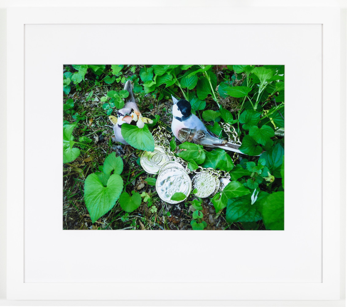 The golden coins in the forest 

2013

C-print

Ed. 3/5

Image 38 x 51 cm / 15 x 20 in

&amp;copy; Karen Kilimnik