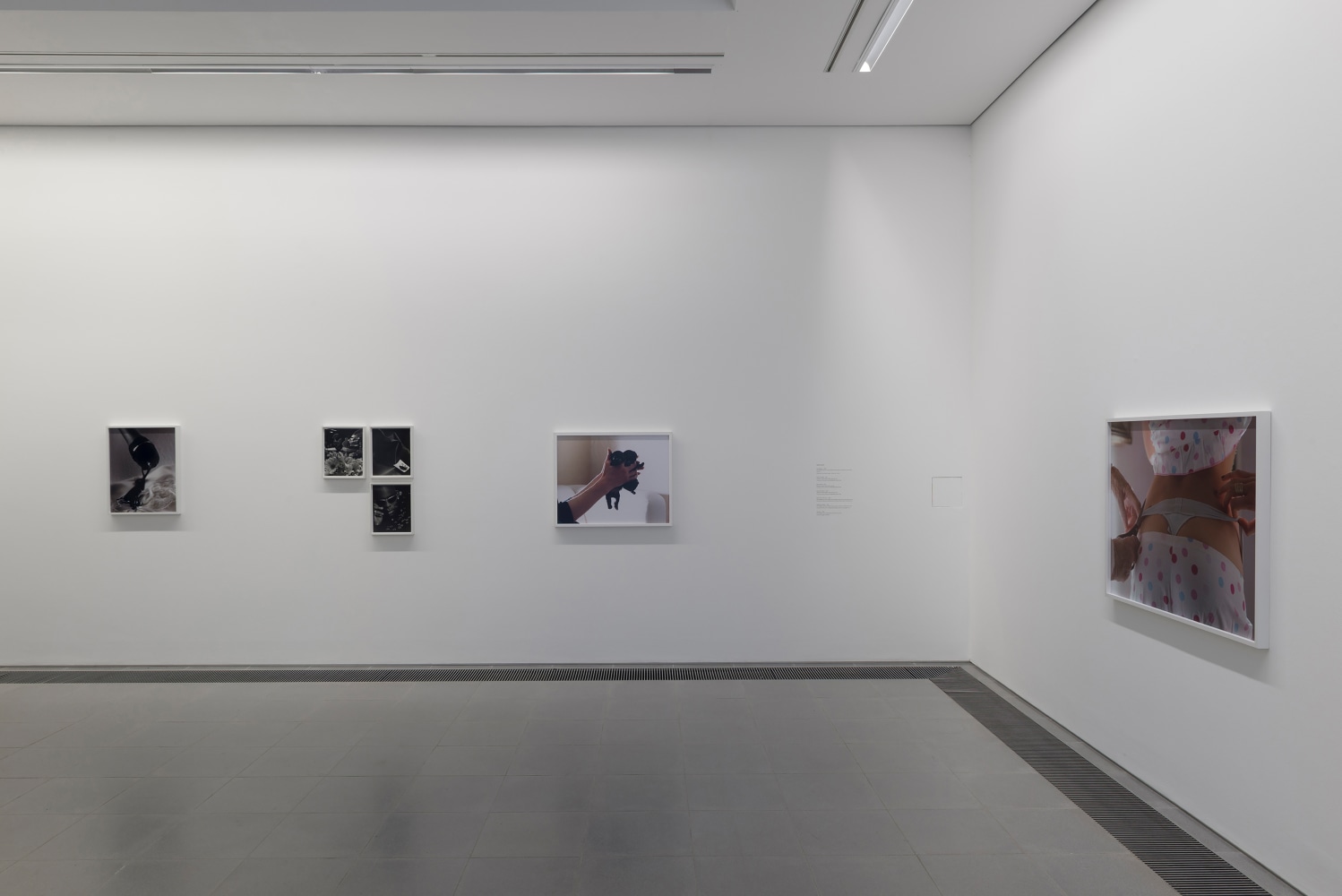 Installation view of photographs by Torbjørn Rødland