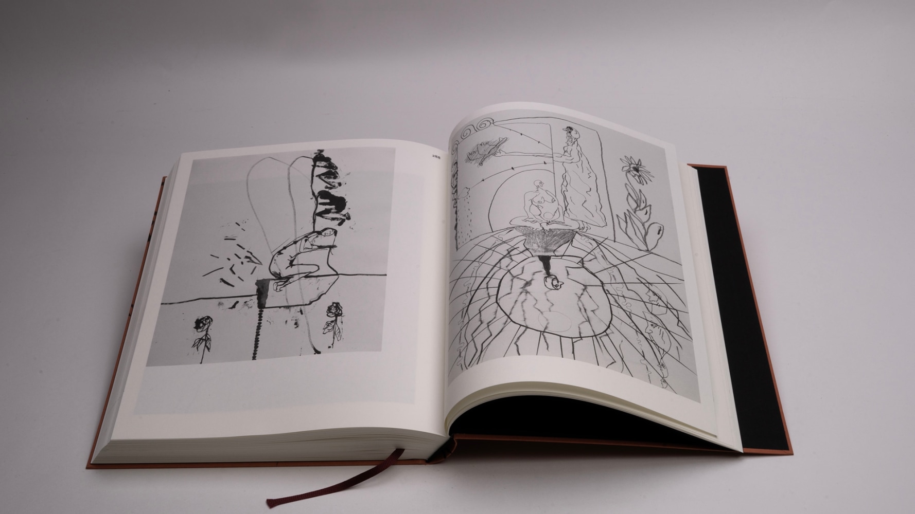 Images of Publikation by Tobias Pils