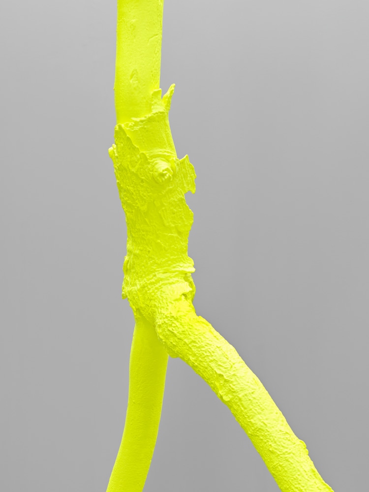 Installation view, Ugo Rondinone, luminous light, Art Basel Unlimited, Basel, 2024