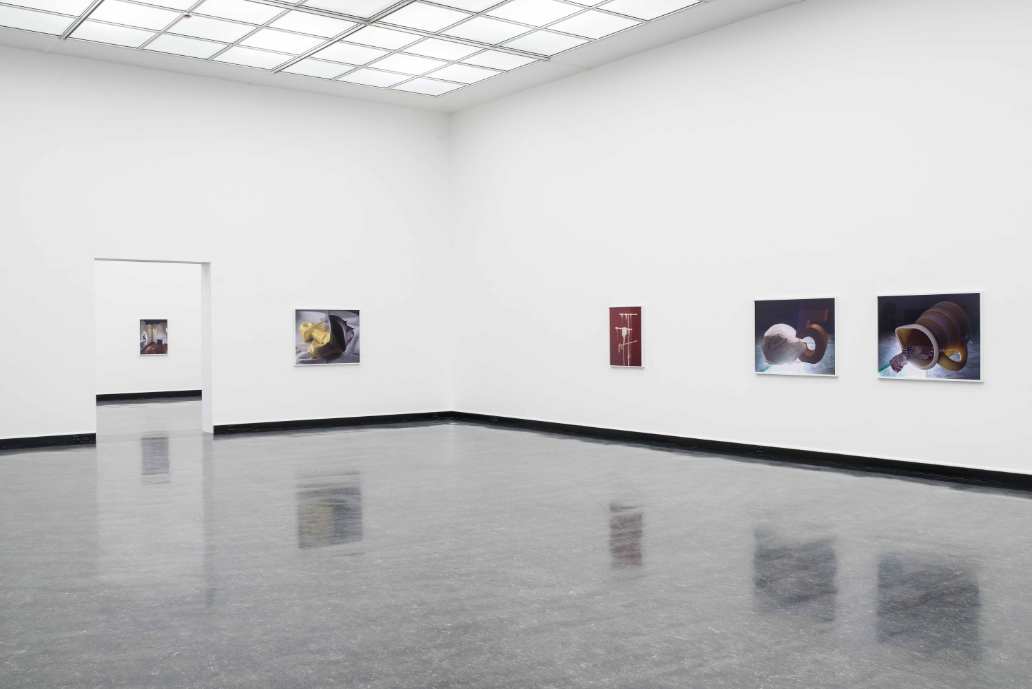 Installation view of photographs by Torbjørn Rødland