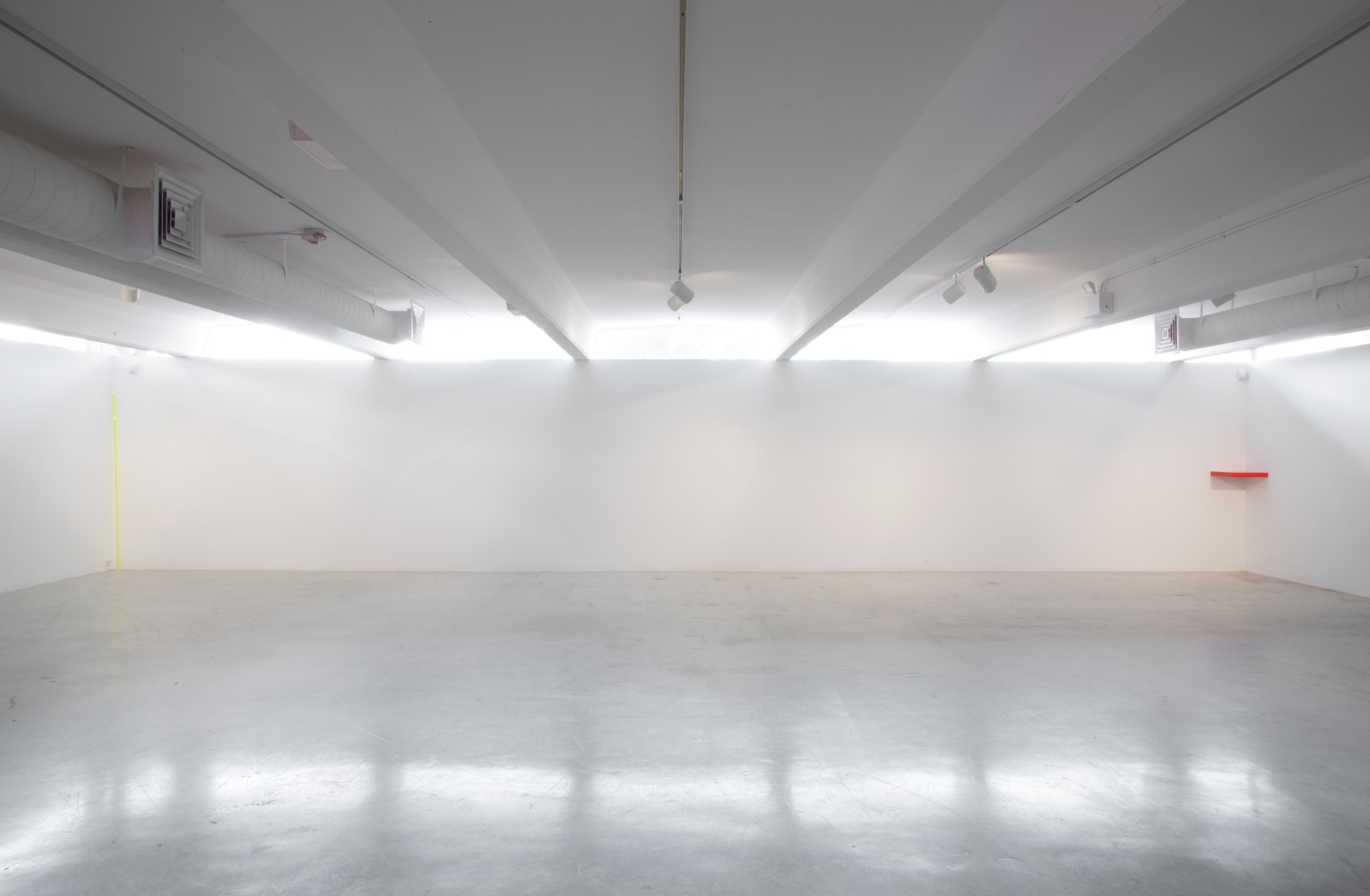 Installation view of wall works by Gerwald Rockenschaub