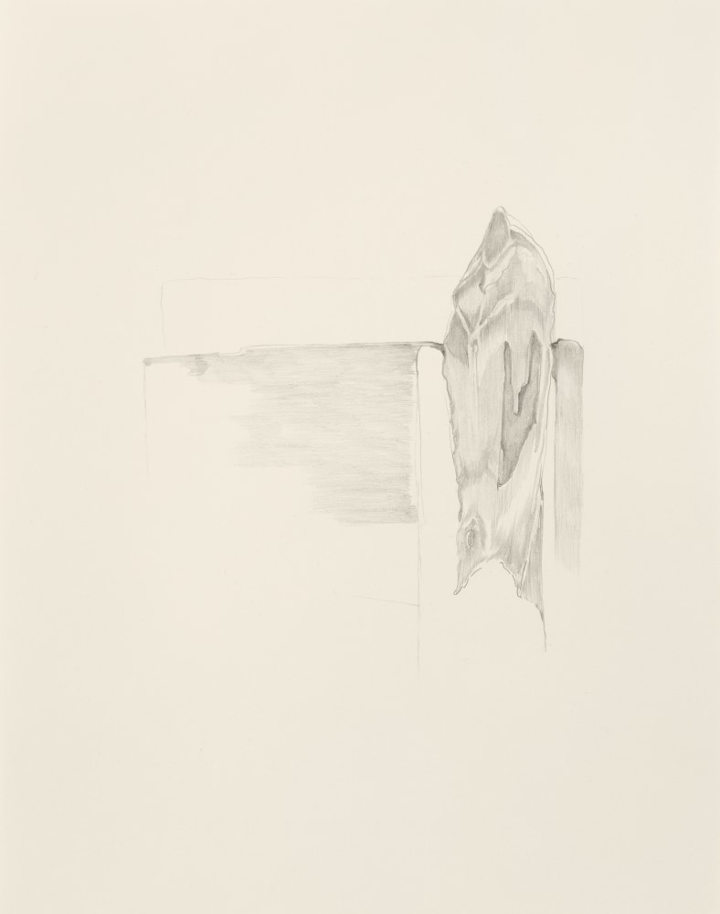 Drawing by Trisha Donnelly