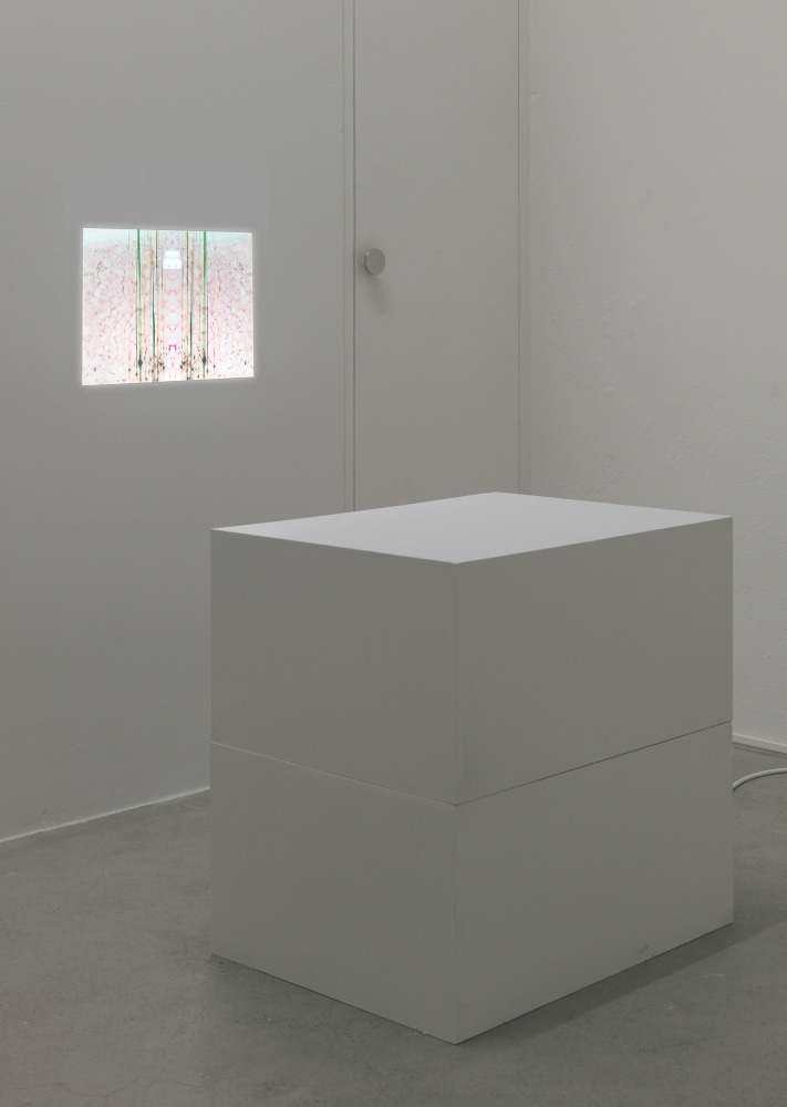 Installation view of Trisha Donnelly light and film installations