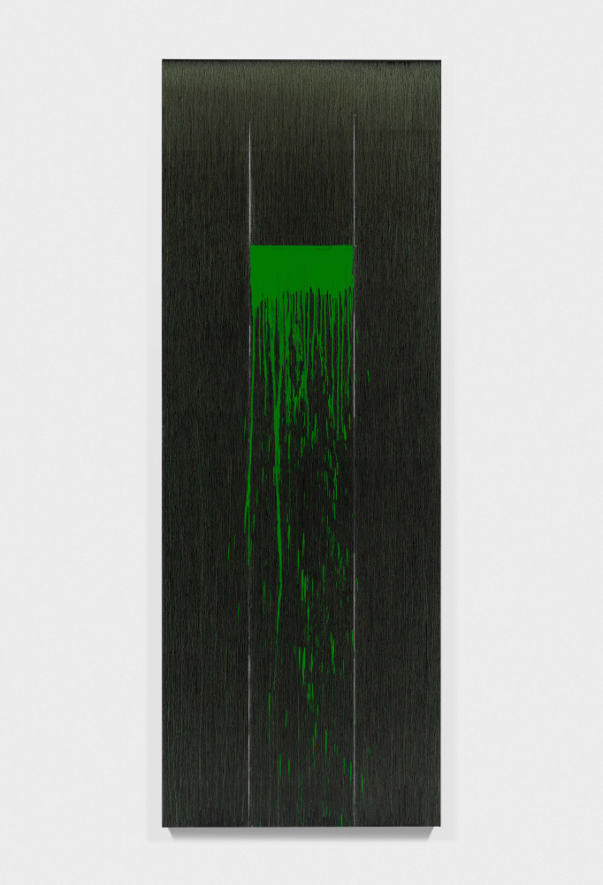Painting by Pat Steir