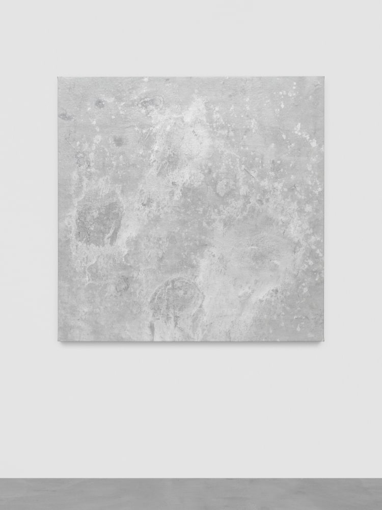 Zone

2024

Enamel, acrylic and marbling ink on canvas

152 x 152 cm / 59 7/8 x 59 7/8 in

&amp;copy; Oscar Tuazon