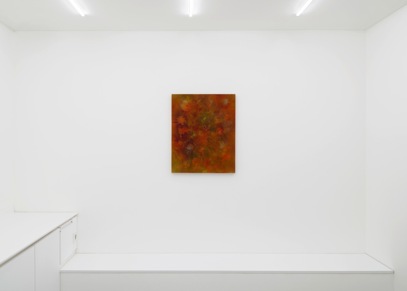 Installation view, Sam Falls, Galerie Eva Presenhuber x P21, Seoul, 2024