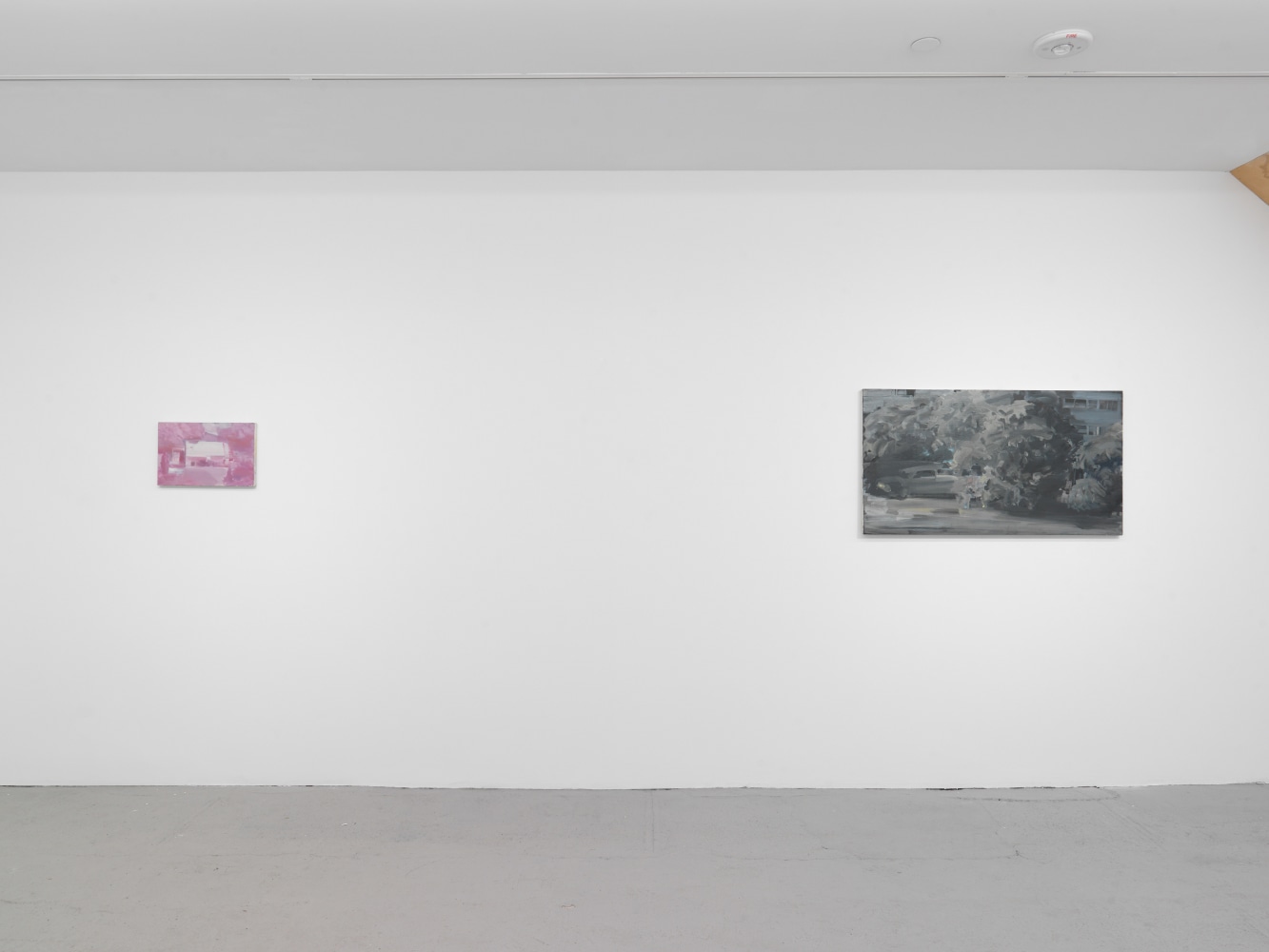 installation view of paintings by David Deutsch