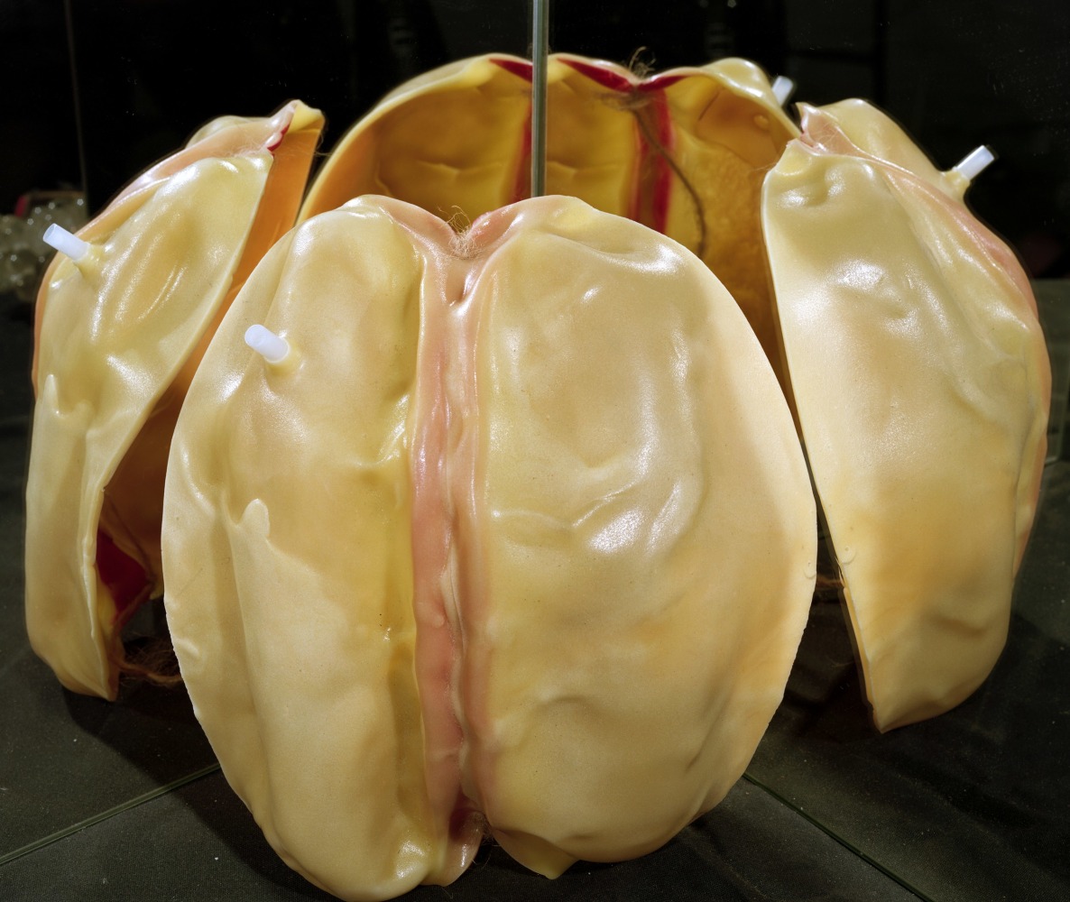 RUBBER DOG TOY INSIDES, MULTIGRAPH
2020