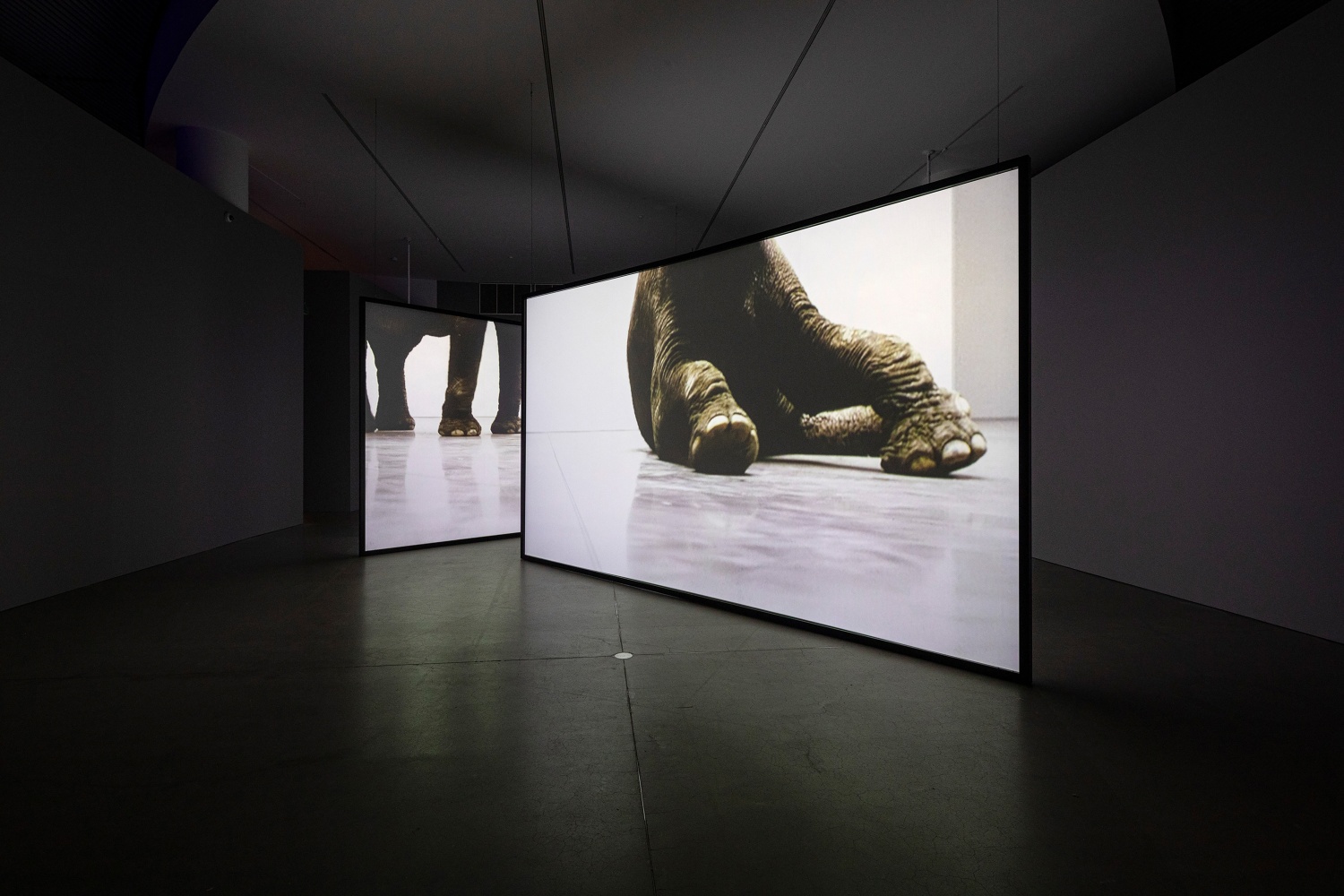 Installation view of video work by Douglas Gordon