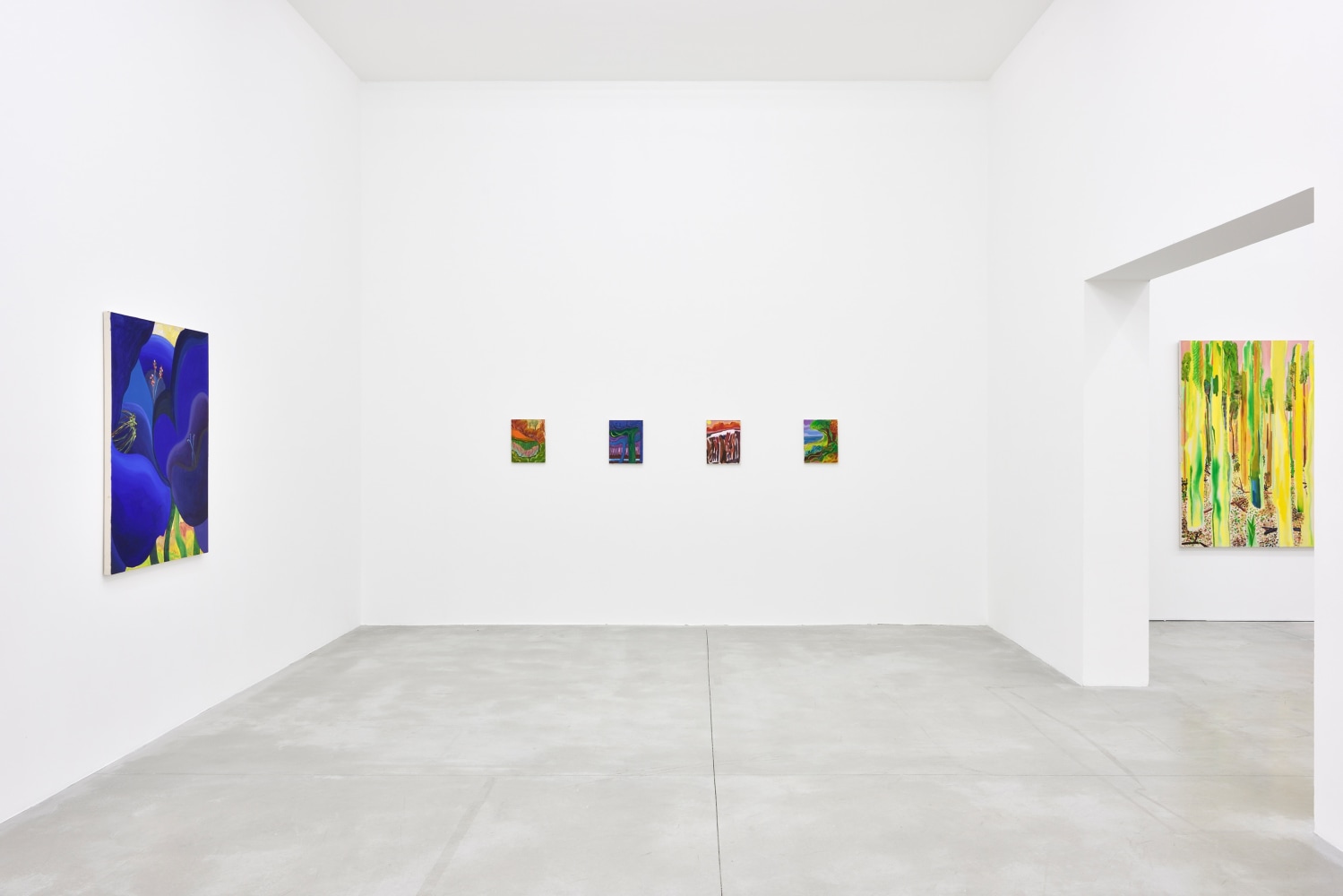 Installation view of Paintings by Shara Hughes