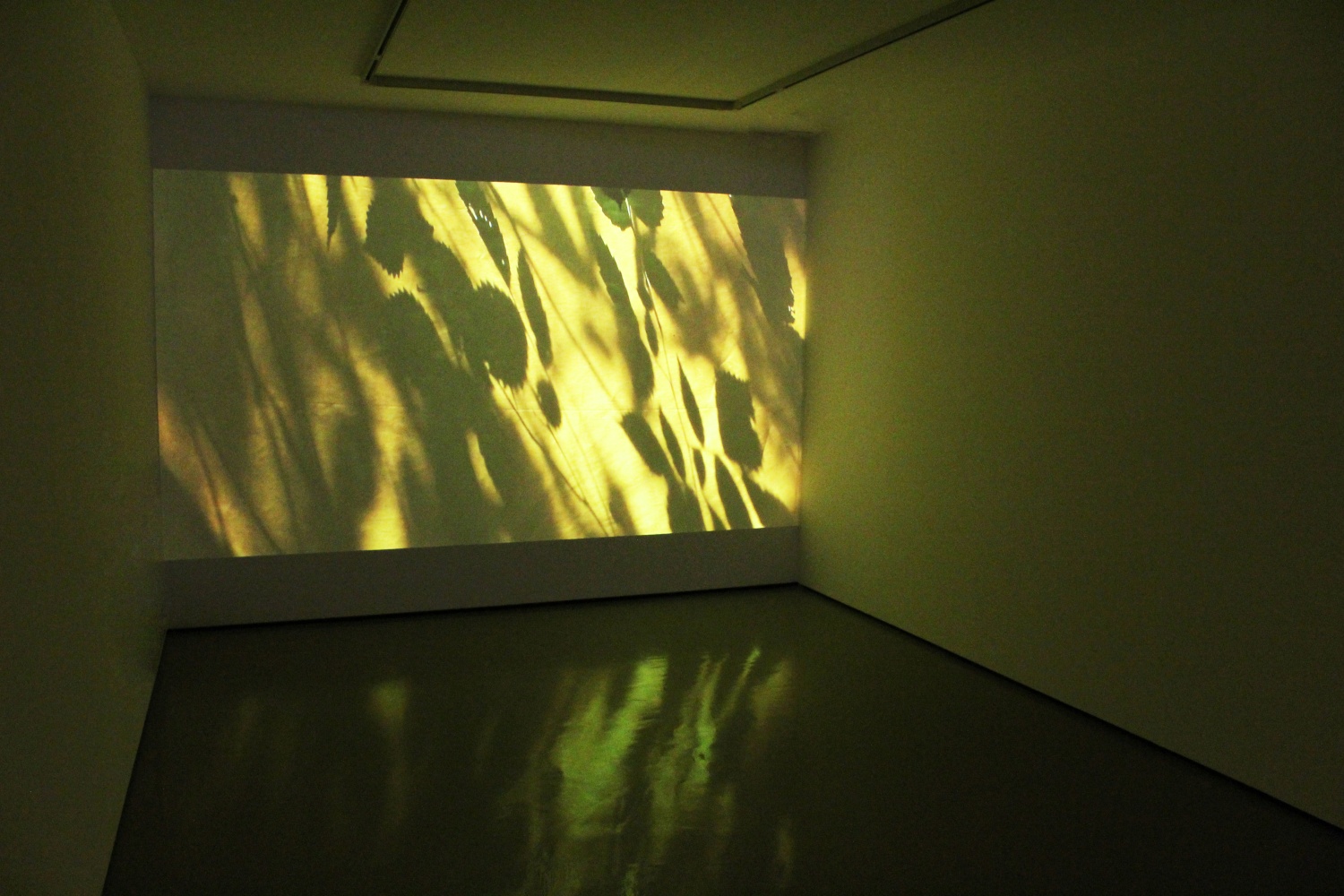 Installation view of video work by Sam Falls
