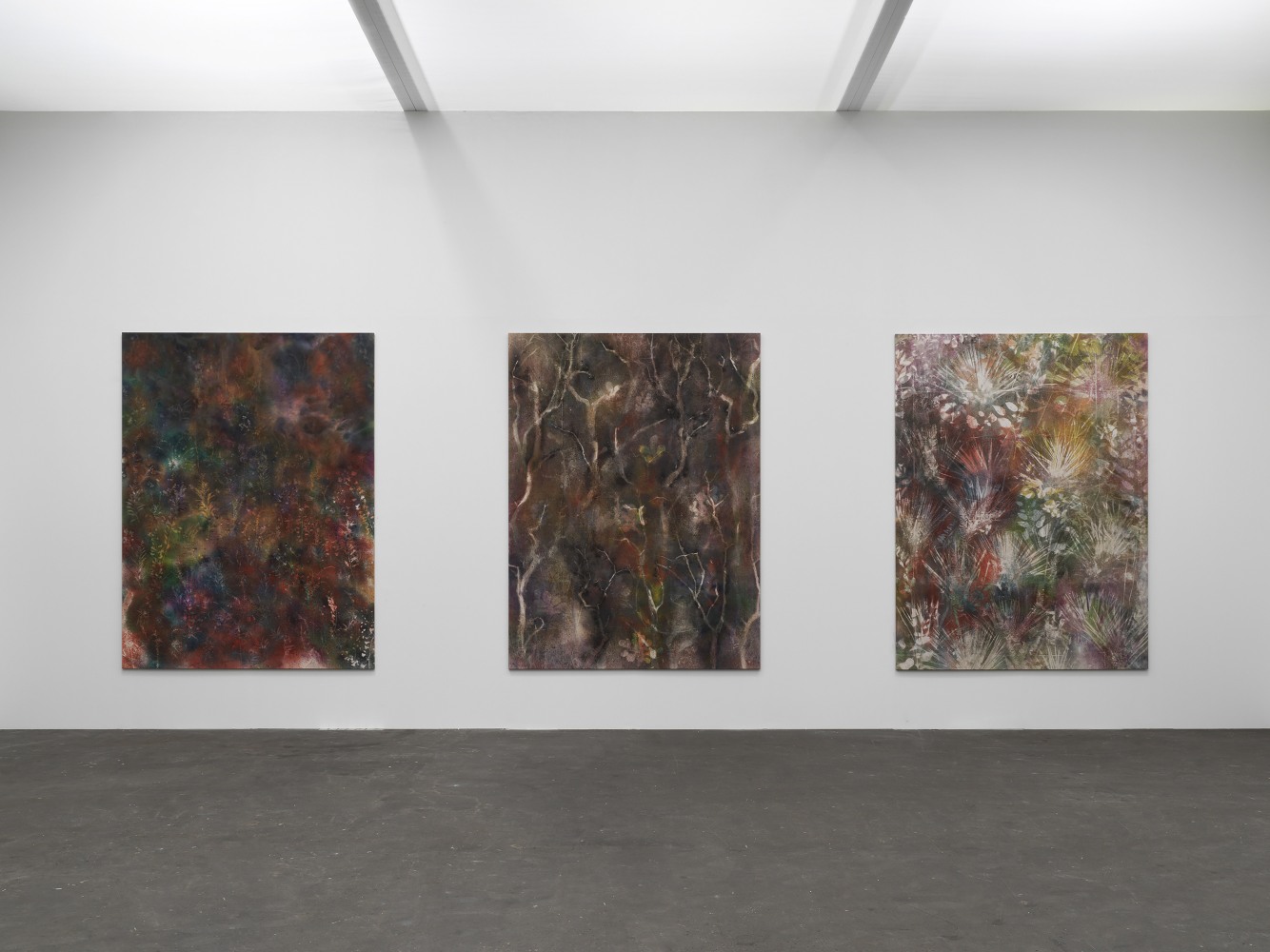 Installation view of paintings by Sam Falls