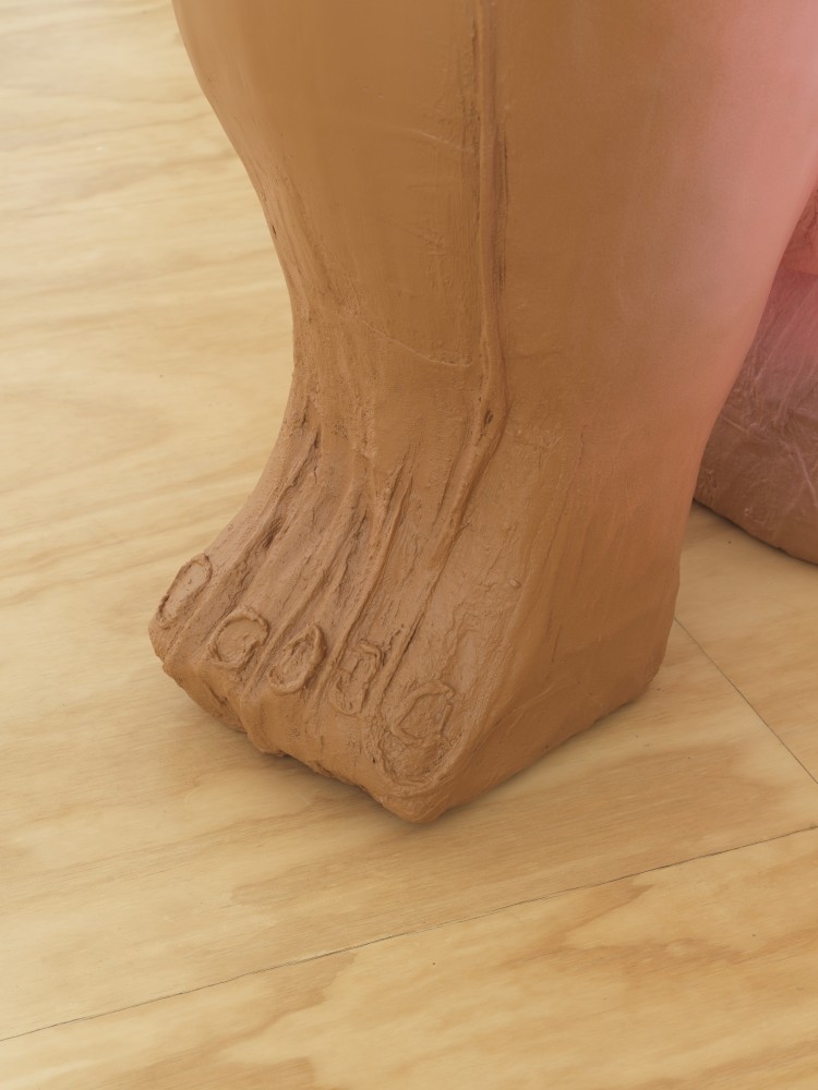 work by Tschabalala Self