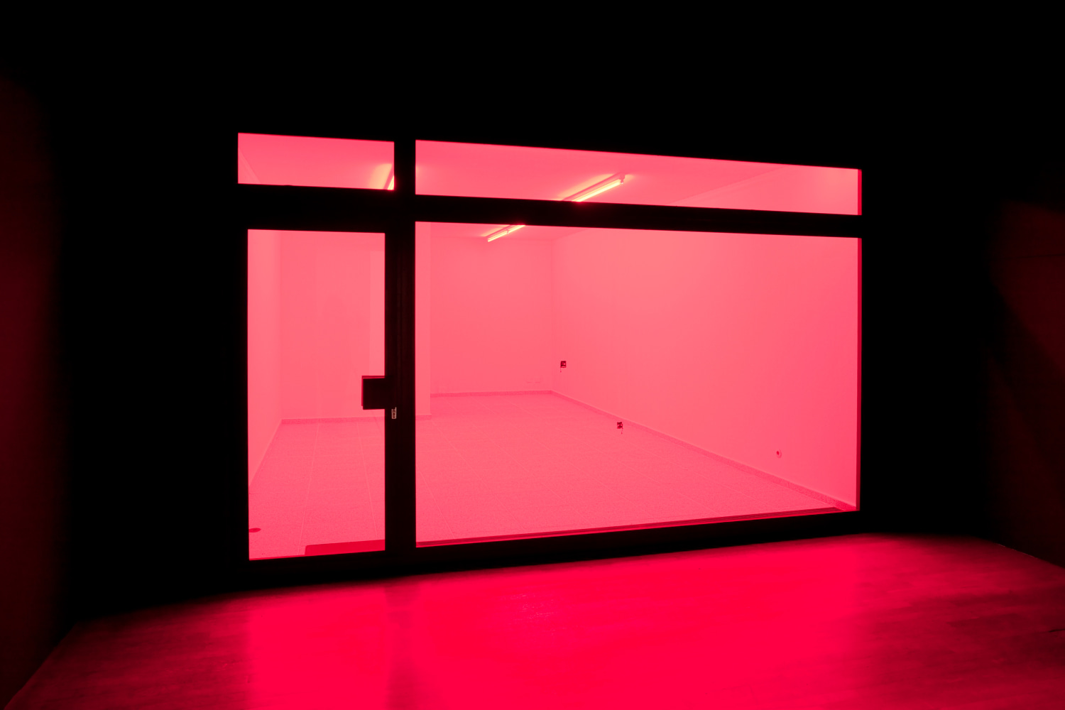 Installation view of light sculpture by Douglas Gordon