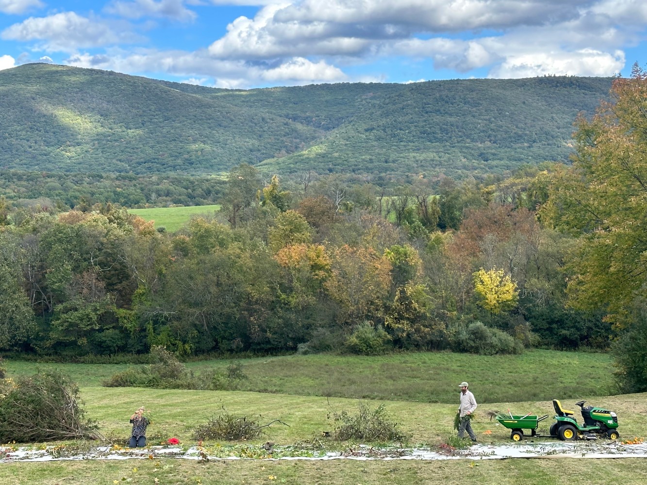 Spring to Fall&amp;nbsp;(process image)

2023

Pigment on canvas

4572 x 366 cm / 1800 x 144 in

&amp;copy; Sam Falls