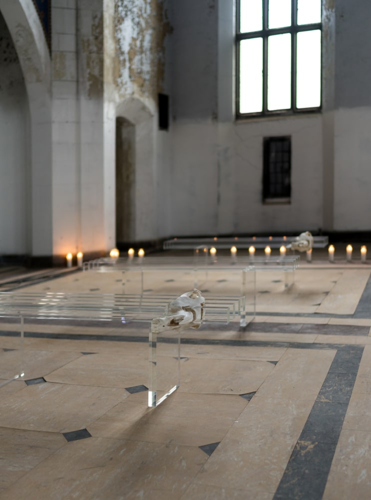 Installation view of sculptures by Matthew Angelo Harrison