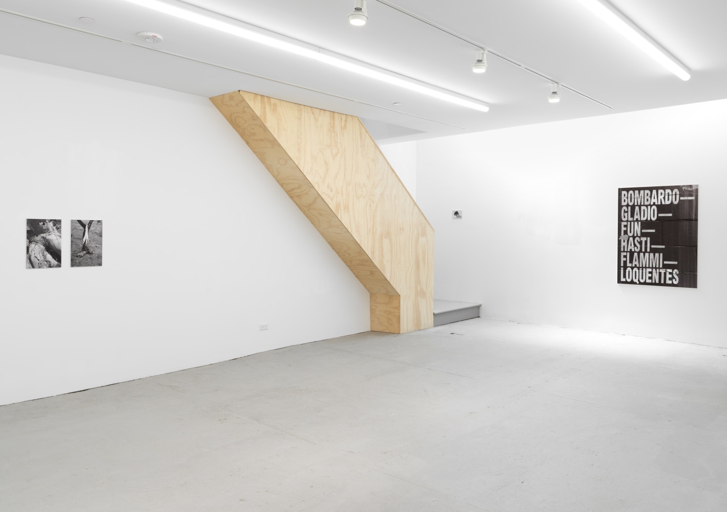 Installation view of photographs by Shannon Ebner