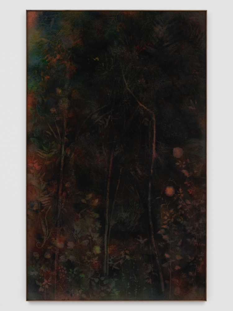 Canvas work by Sam Falls