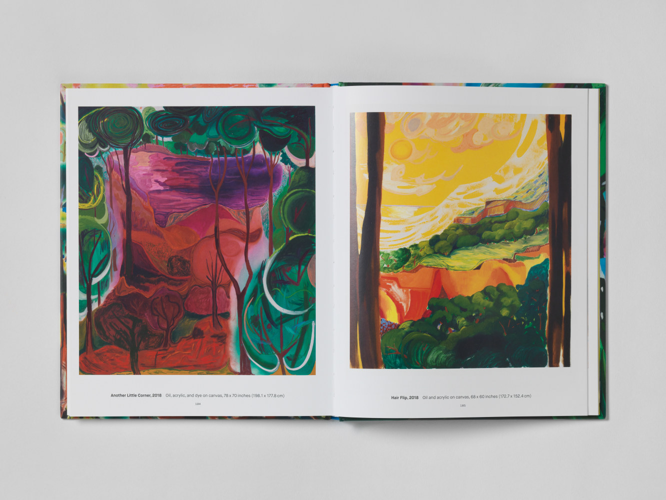 Image of Shara Hughes Landscapes publication