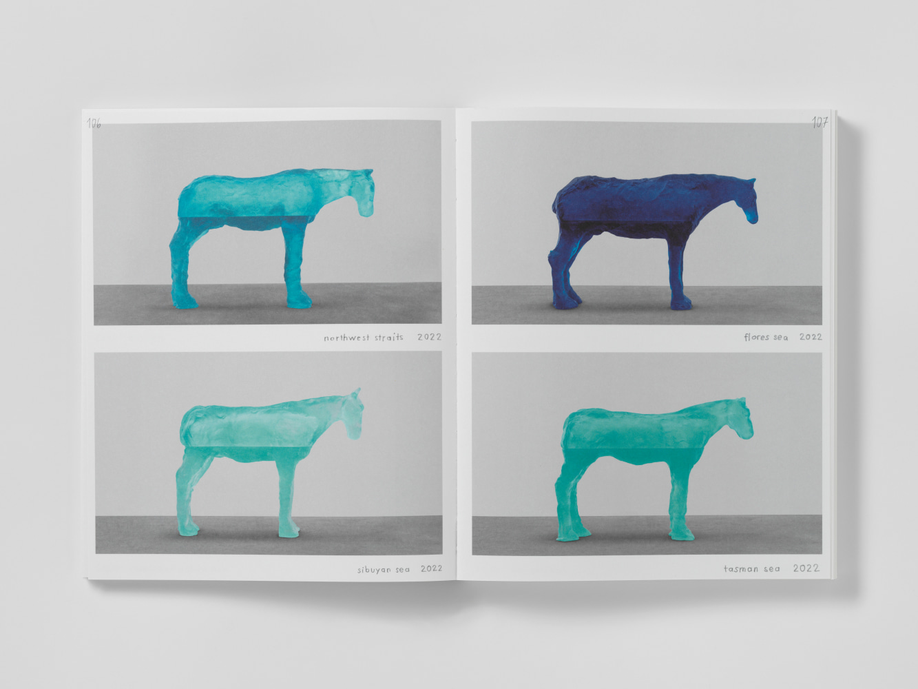 image publication Ugo Rondinone