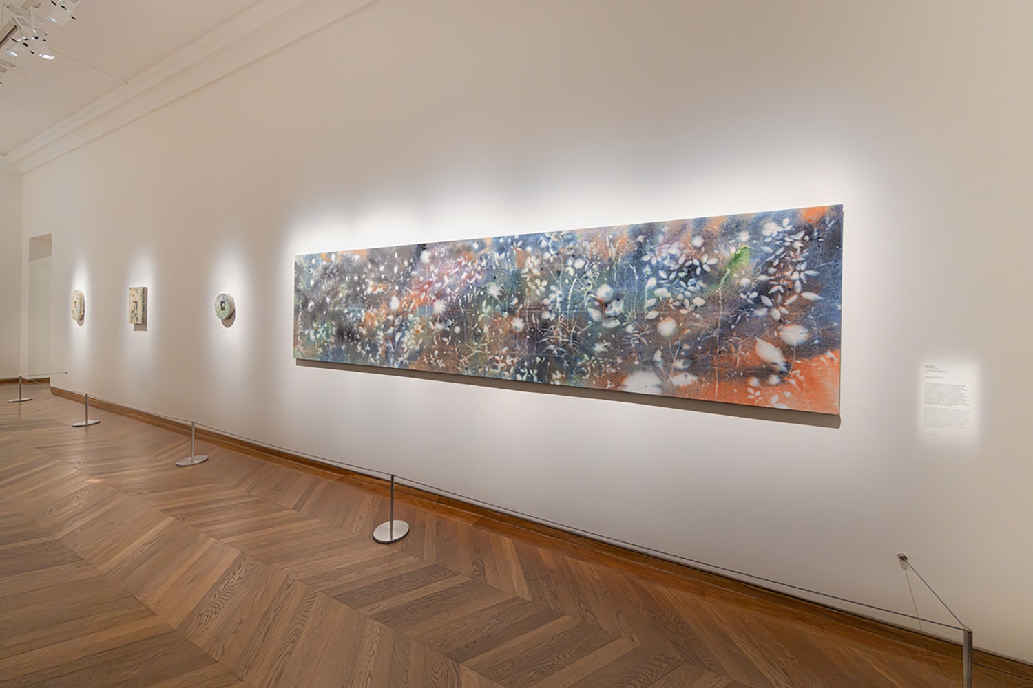 Installation view, Sam Falls, Science/Fiction &amp;ndash; Une Non-Histoire des Plantes, Maison Europ&amp;eacute;enne de la Photographie, Paris, 2024