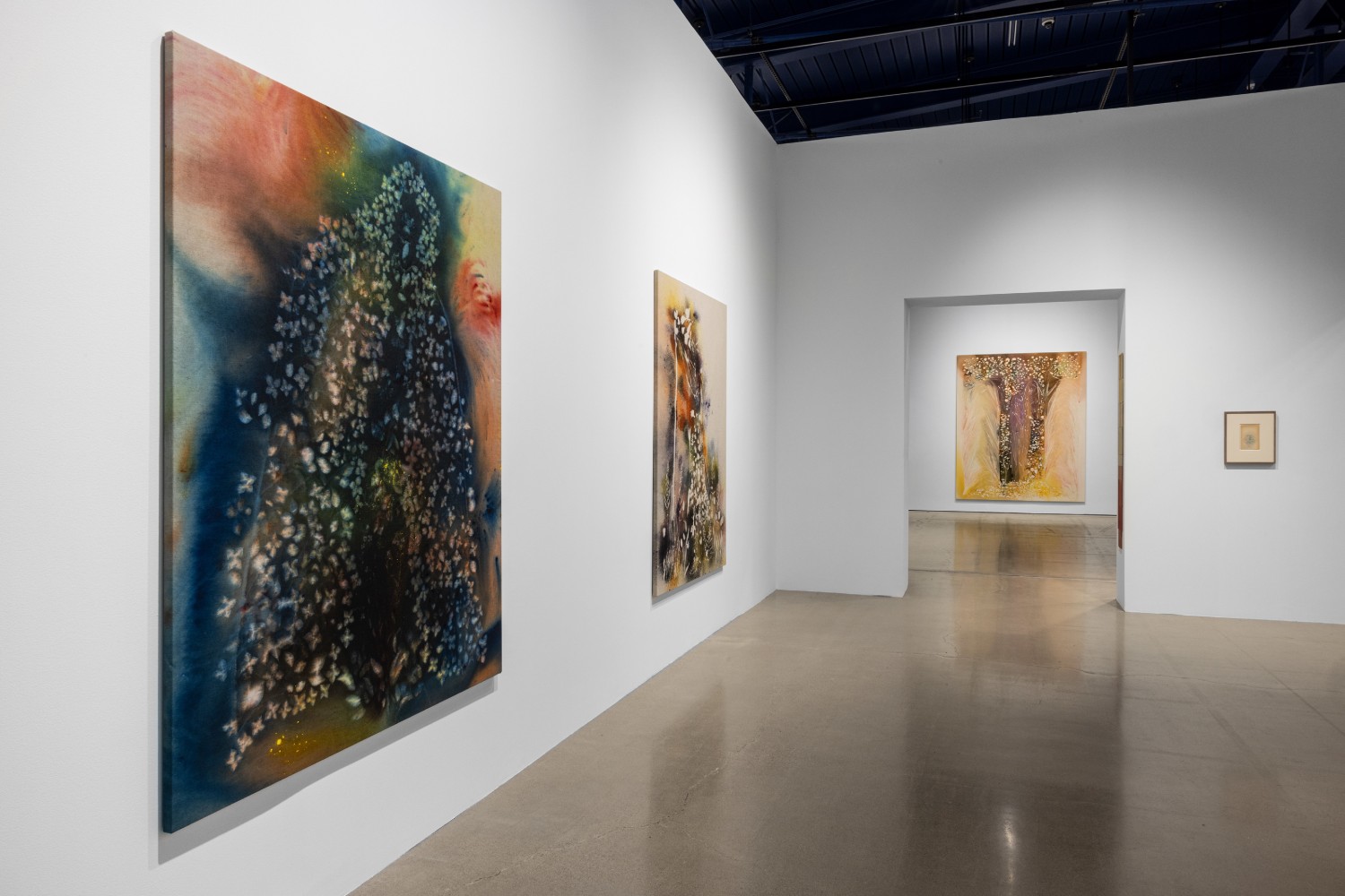 installation view sam falls cleveland