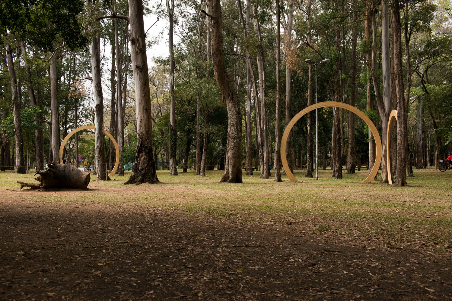 Installation view of sculpture by Oscar Tuazon