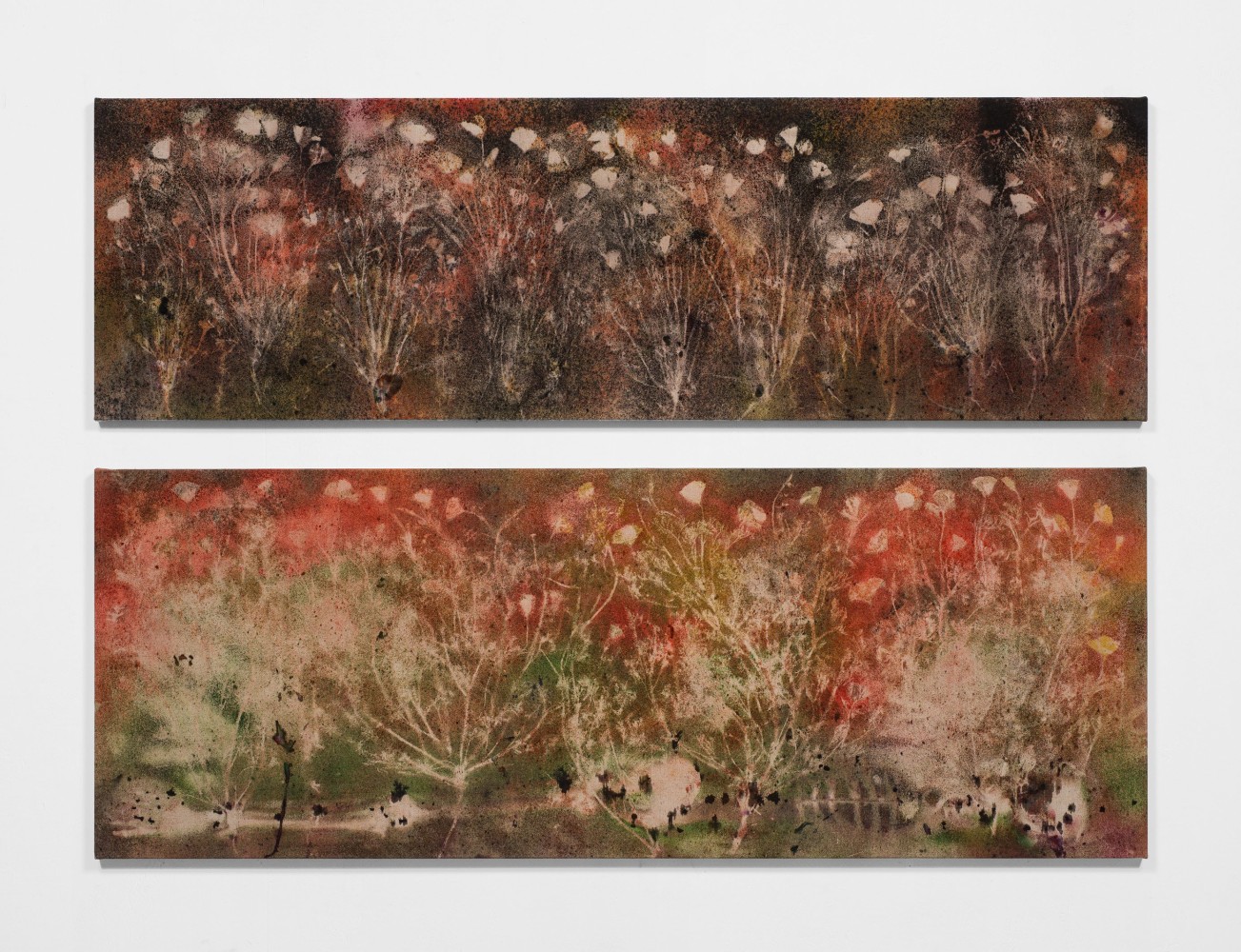 SUPER BLOOM, ANCIENT EARTH (MOJAVE DESERT), 2020