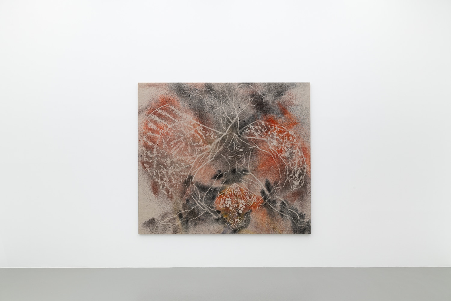 Installation view, Sam Falls, Vienna