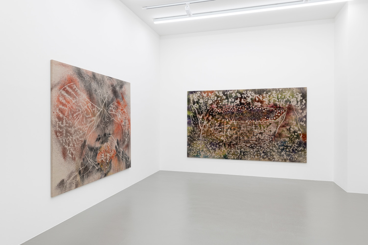 Installation view, Sam Falls, Vienna