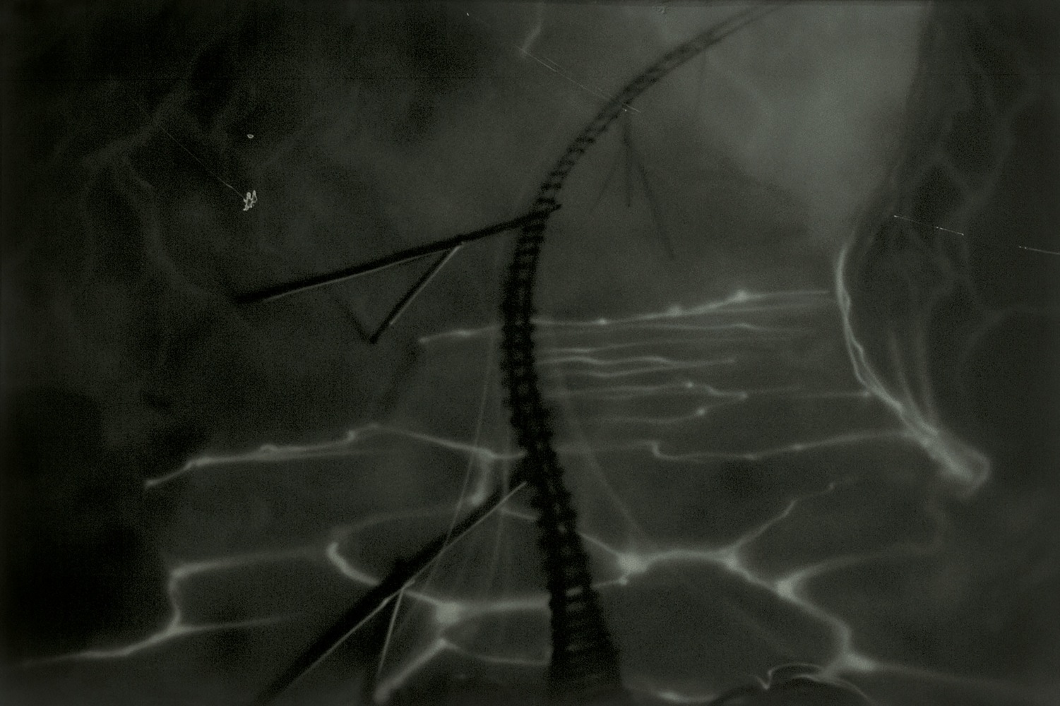 Fotografias XIV

2005
Series of 6 photographs mounted on cardboard, behind glass
Photo, each 10 x 15 cm / 3 7/8 x 5 7/8 in
Sheet, each 20 x 26.5 cm / 7 7/8 x 10 3/8 in

&amp;copy; Estate Peter Fischli David Weiss