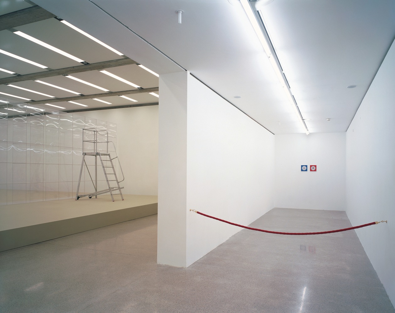 Installation view of wall works by Gerwald Rockenschaub