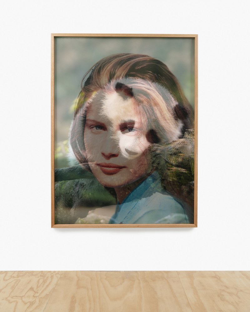 WORK BY YVES SCHERER