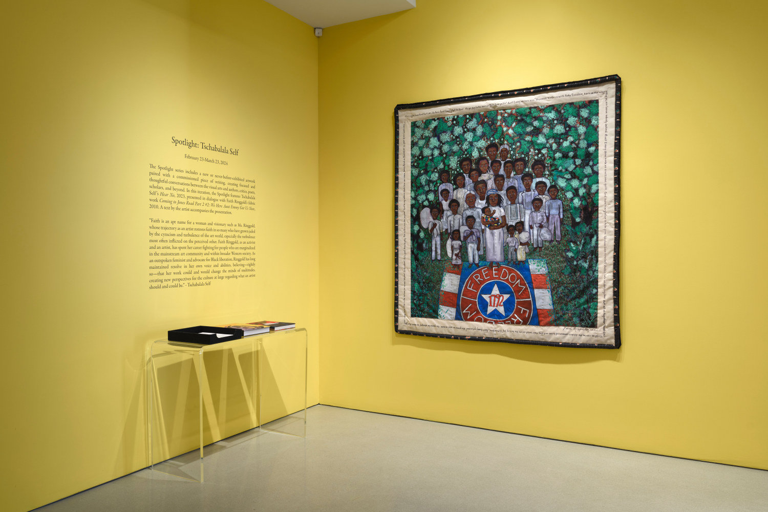 Installation view, Tschabalala Self, Spotlight, FLAG Art Foundation, New York, 2024