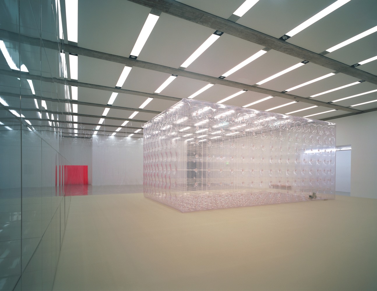 Installation view of wall works by Gerwald Rockenschaub